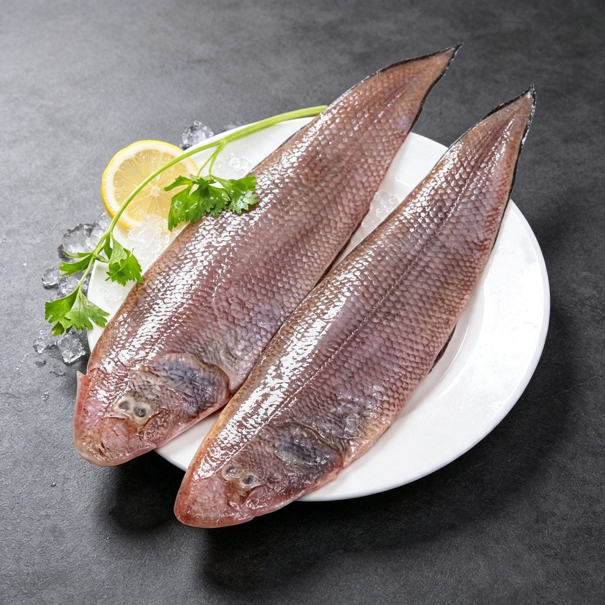 SEAFISH
