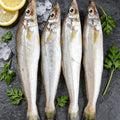 Small Sea Fish